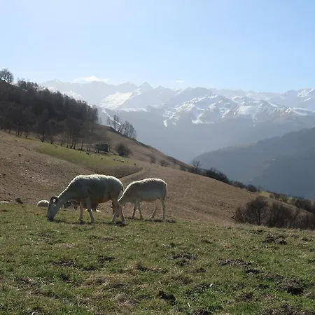 Studio Hyper Centre Lumineux Et Fonctionnel Luchon Bagnères-de-Luchon Esterno foto